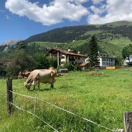 Darlux Bed & Breakfast Bergün