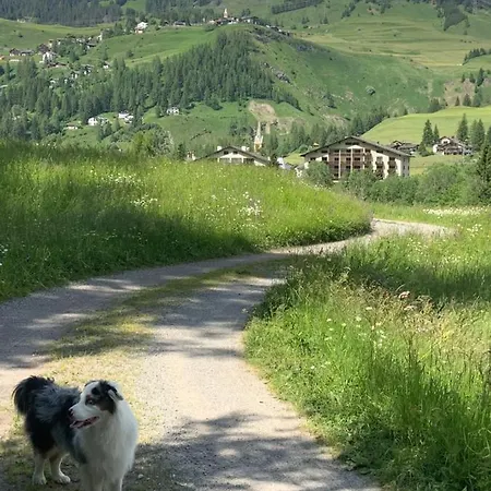 Darlux * Bergün