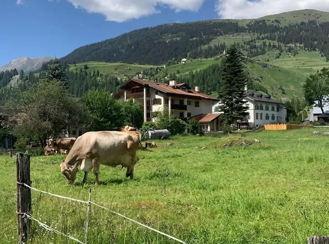 Darlux Oda ve Kahvaltı Bergün